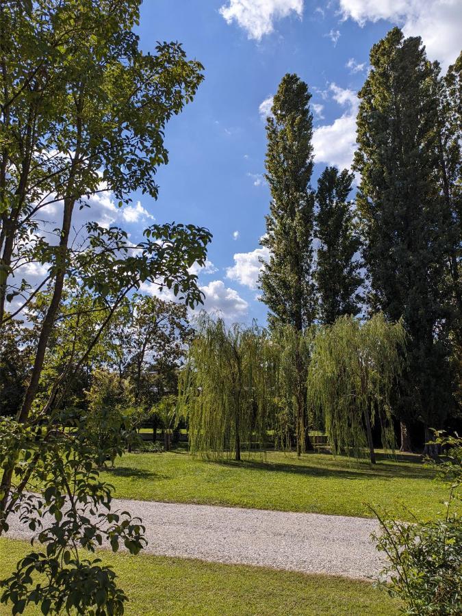 Bed and Breakfast Dependance Del Brenta Fiesso dʼArtico Esterno foto